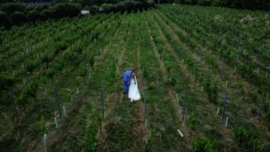 Drone footage in vineyard of the bride and groom captured by South West wedding videographer