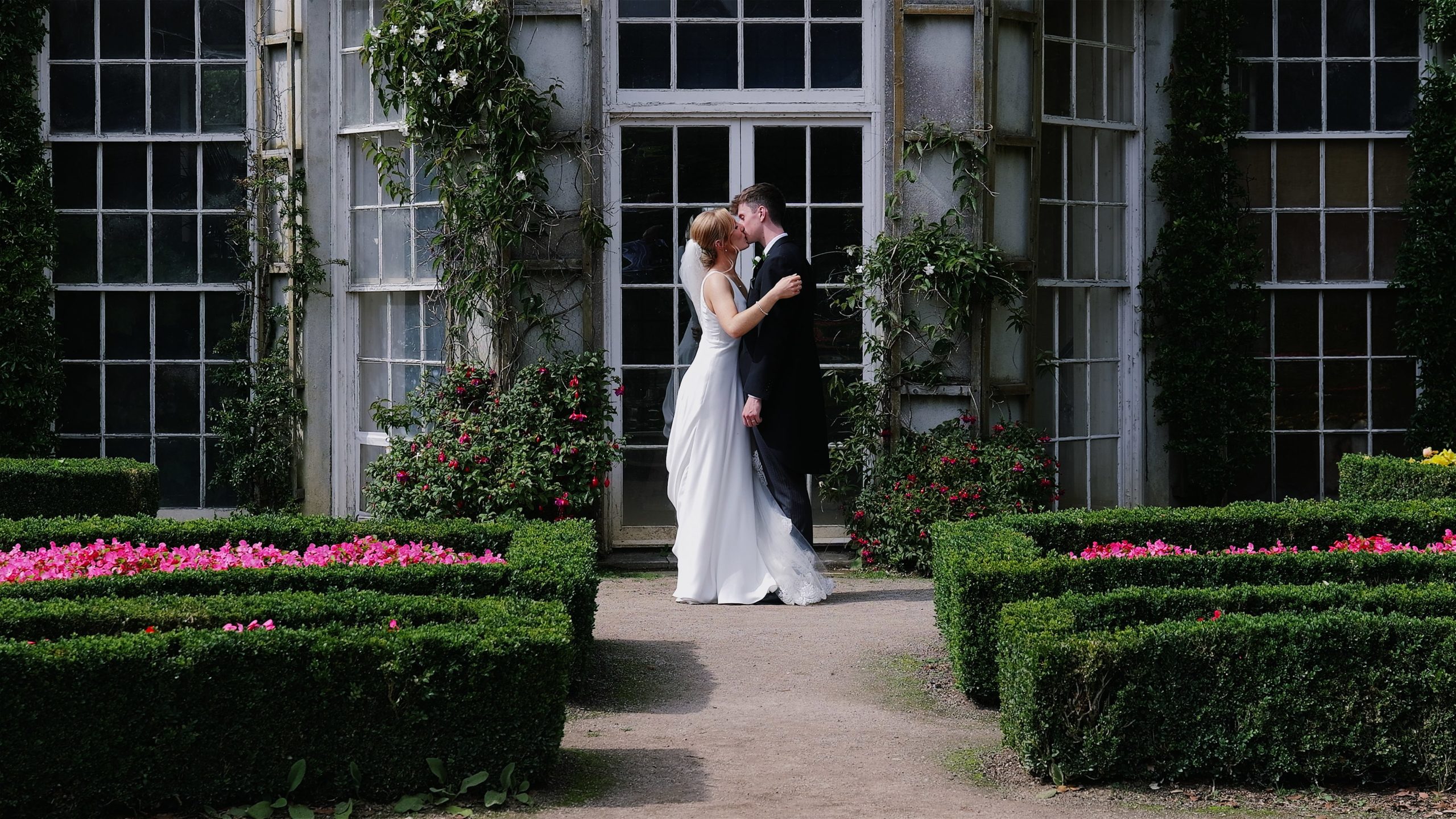 wedding-venue-south-west Wedding couple kissing in the Italian Gardens at Mount Edgcumbe Country Park in Cornwall, in front of a glasshouse surrounded by flowers and hedges