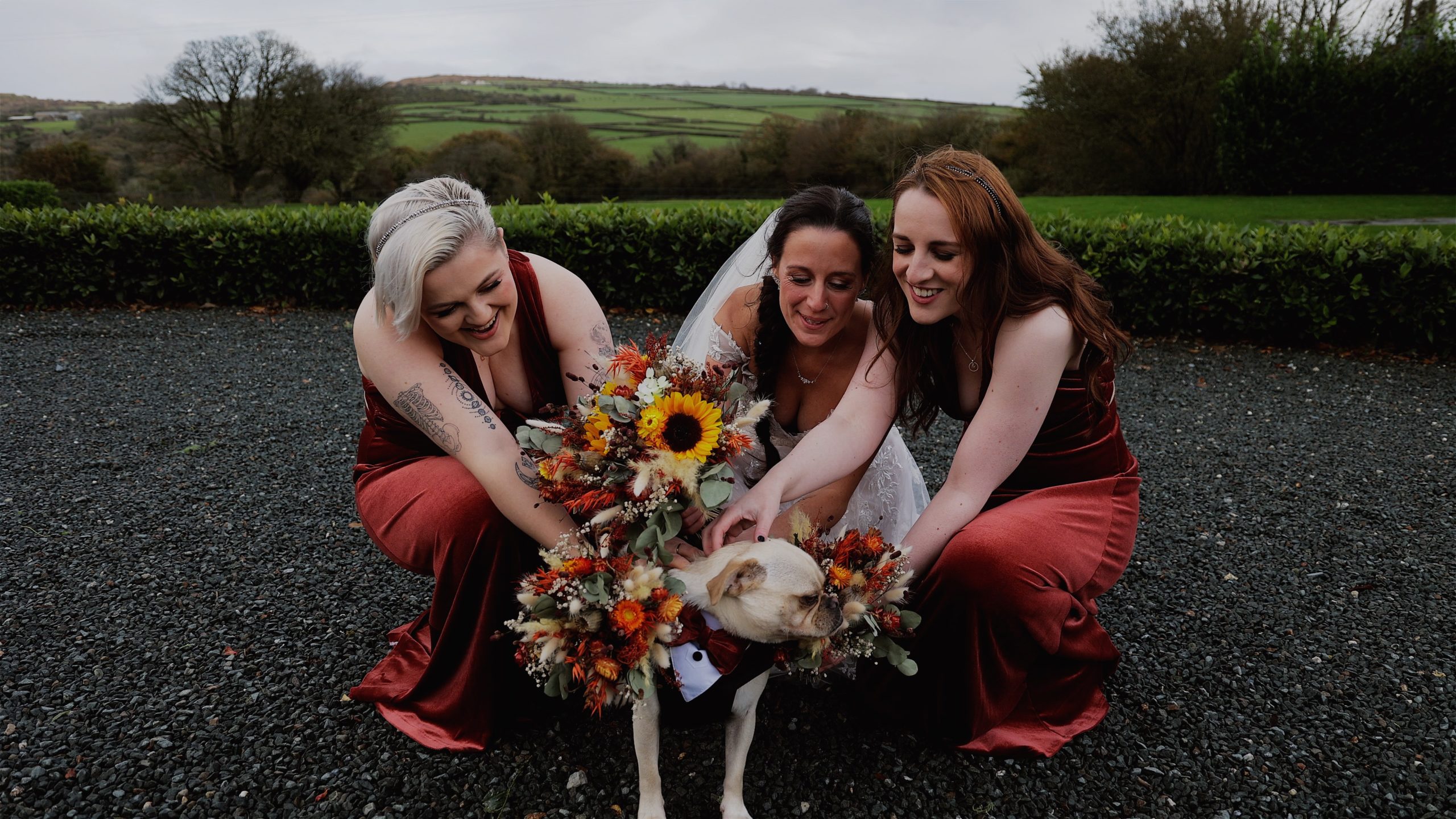 A bride and her bridespeople gathered around to give the bestdog a fuss at Trevenna Barns