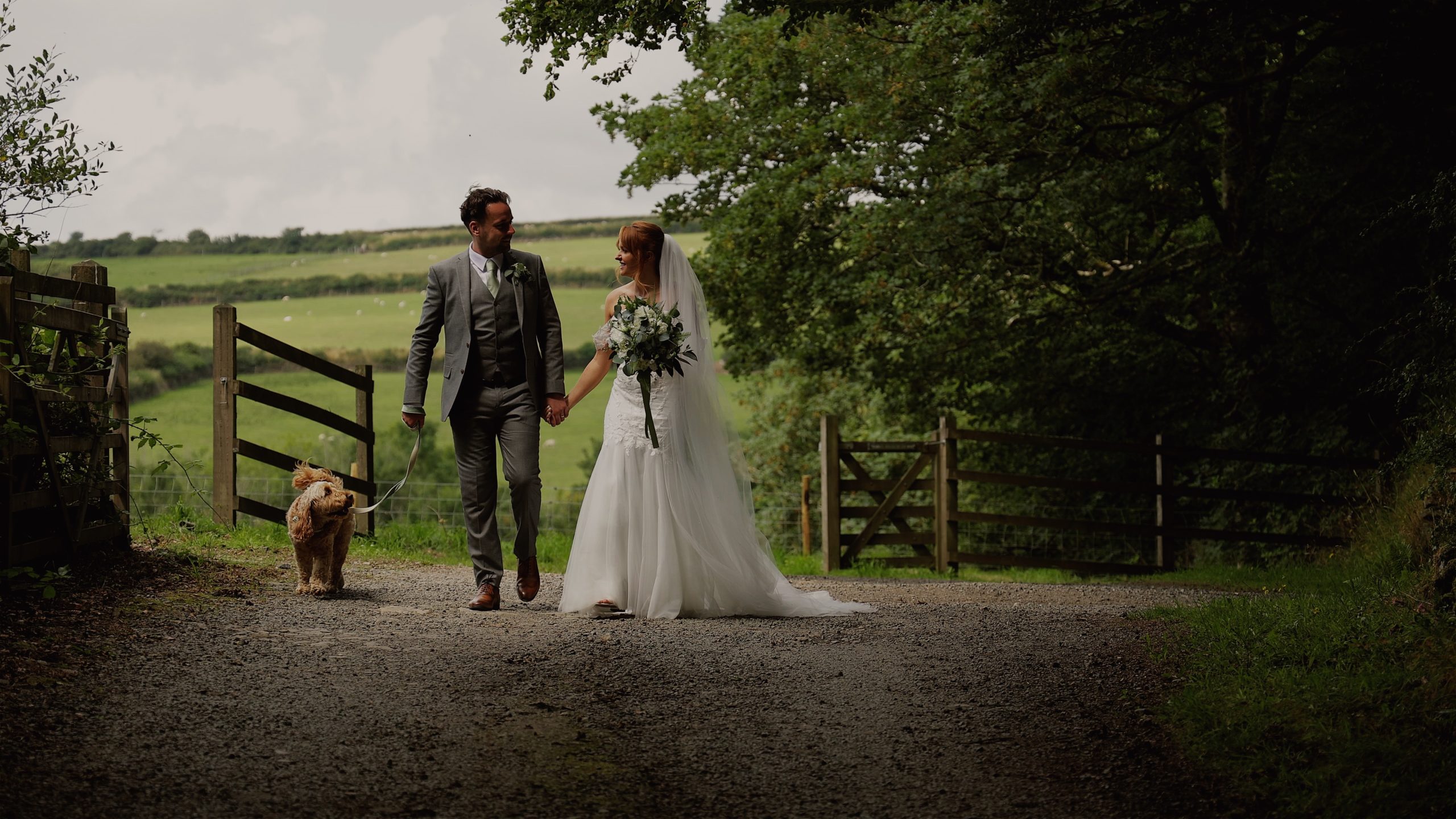 A bride and groom going for a walk with their dog along a country lane at Trevenna Barns